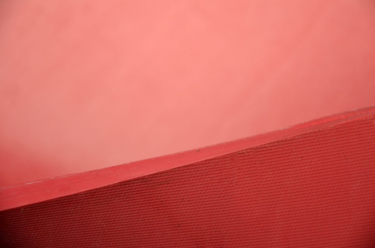 LINA-REX38-ROOD-02 - T-Rex Rubber International