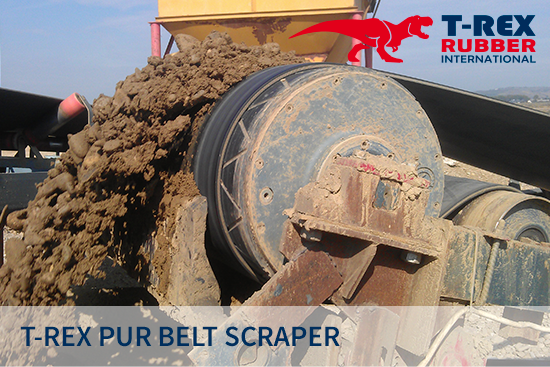 T-Rex Belt Cleaning, PUR Belt Scraper