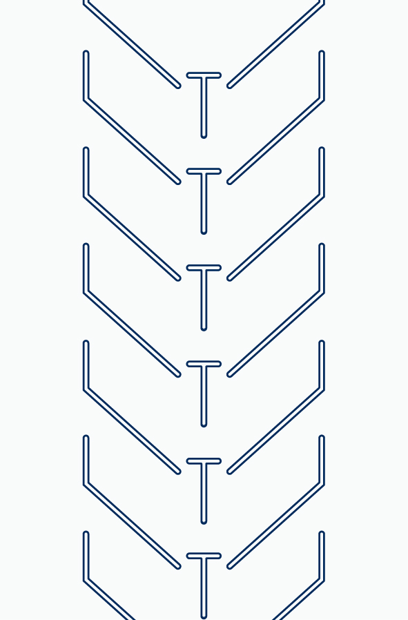 T-Rex Conveyor Belting, Profile C25 P1000